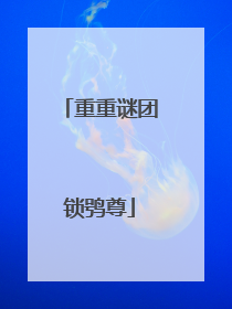 重重谜团锁鸮尊
