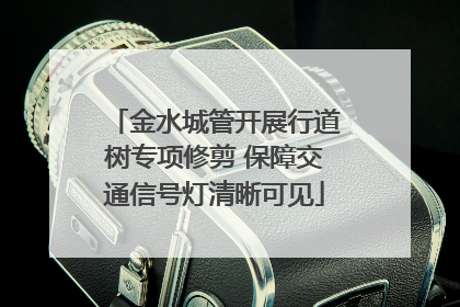 金水城管开展行道树专项修剪 保障交通信号灯清晰可见