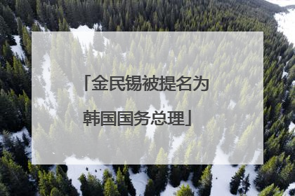 金民锡被提名为韩国国务总理