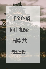 金色瞬间丨相聚南博 共赴盛会