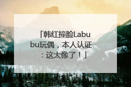 韩红撞脸Labubu玩偶，本人认证：这太像了！