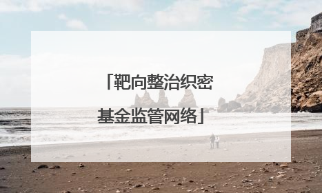靶向整治织密基金监管网络