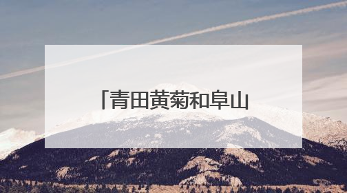 青田黄菊和阜山笋干组团出海