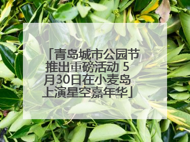 青岛城市公园节推出重磅活动 5月30日在小麦岛上演星空嘉年华