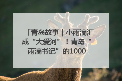 青岛故事｜小雨滴汇成“大爱河”！青岛“雨滴书记”的1000场公益长跑路
