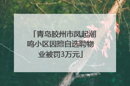 青岛胶州市凤起潮鸣小区因擅自选聘物业被罚3万元