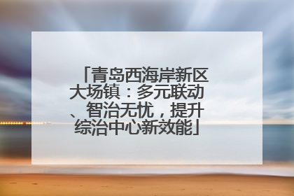 青岛西海岸新区大场镇：多元联动、智治无忧，提升综治中心新效能