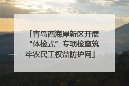 青岛西海岸新区开展“体检式”专项检查筑牢农民工权益防护网