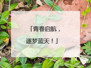 青春启航，逐梦蓝天！
