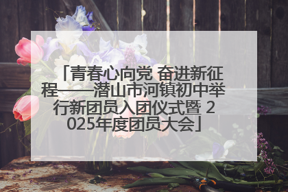 青春心向党 奋进新征程——潜山市河镇初中举行新团员入团仪式暨 2025年度团员大会