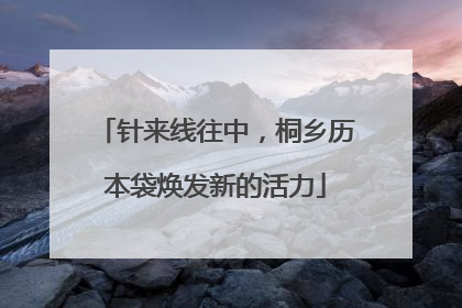 针来线往中，桐乡历本袋焕发新的活力
