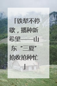 铁犁不停歇，播种新希望——山东“三夏”抢收抢种忙