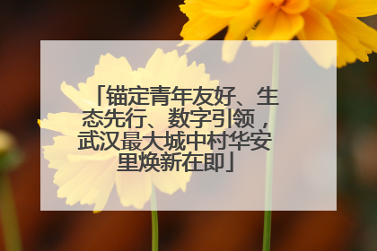 锚定青年友好、生态先行、数字引领，武汉最大城中村华安里焕新在即