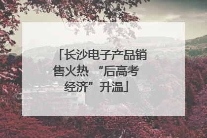 长沙电子产品销售火热 “后高考经济”升温