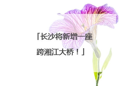 长沙将新增一座跨湘江大桥！