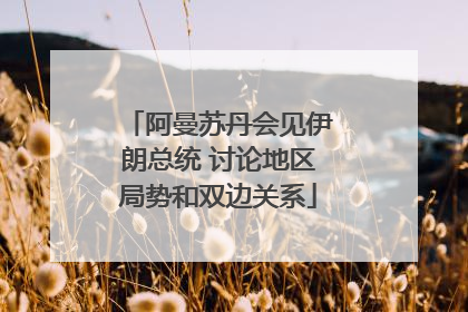 阿曼苏丹会见伊朗总统 讨论地区局势和双边关系