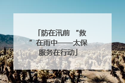 防在汛前 “救”在雨中——太保服务在行动