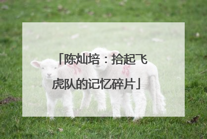 陈灿培：拾起飞虎队的记忆碎片