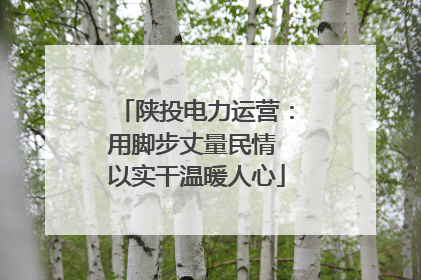陕投电力运营：用脚步丈量民情 以实干温暖人心