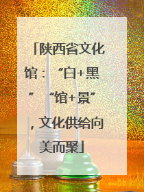 陕西省文化馆：“白+黑”“馆+景”，文化供给向美而聚