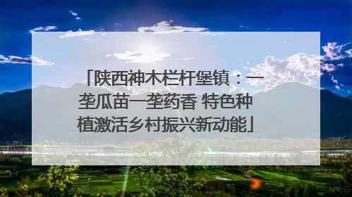 陕西神木栏杆堡镇：一垄瓜苗一垄药香 特色种植激活乡村振兴新动能