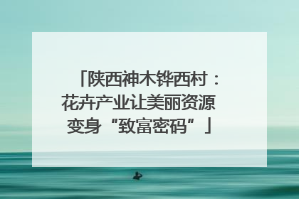 陕西神木铧西村：花卉产业让美丽资源变身“致富密码”