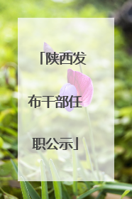 陕西发布干部任职公示