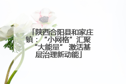 陕西合阳县和家庄镇：“小网格”汇聚“大能量” 激活基层治理新动能