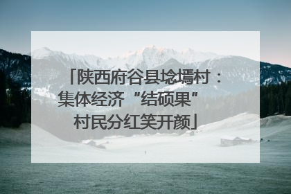 陕西府谷县埝墕村：集体经济“结硕果” 村民分红笑开颜