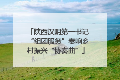 陕西汉阴第一书记“组团服务”奏响乡村振兴“协奏曲”