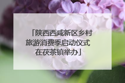 陕西西咸新区乡村旅游消费季启动仪式在茯茶镇举办