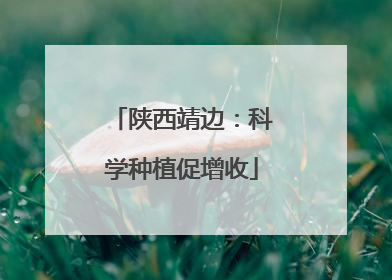 陕西靖边：科学种植促增收