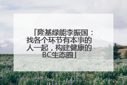 隆基绿能李振国：找各个环节有本事的人一起，构建健康的BC生态圈