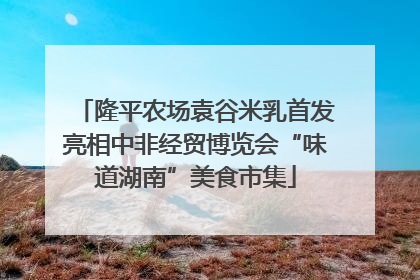 隆平农场袁谷米乳首发亮相中非经贸博览会“味道湖南”美食市集