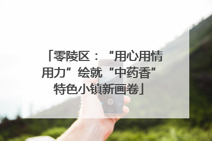 零陵区：“用心用情用力”绘就“中药香”特色小镇新画卷