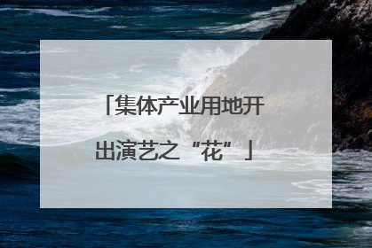 集体产业用地开出演艺之“花”