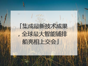 集成最新技术成果，全球最大智能铺排船亮相上交会
