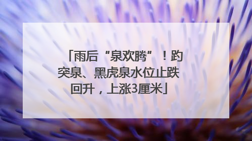 雨后“泉欢腾”！趵突泉、黑虎泉水位止跌回升，上涨3厘米