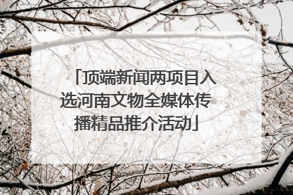 顶端新闻两项目入选河南文物全媒体传播精品推介活动