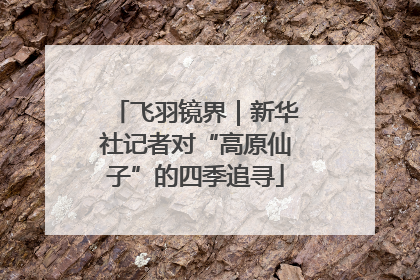 飞羽镜界｜新华社记者对“高原仙子”的四季追寻