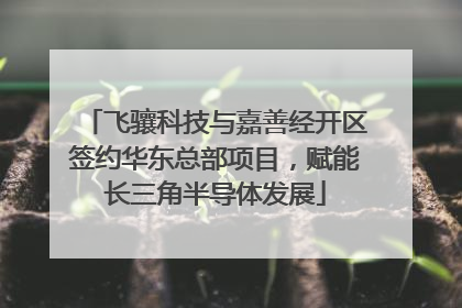 飞骧科技与嘉善经开区签约华东总部项目，赋能长三角半导体发展