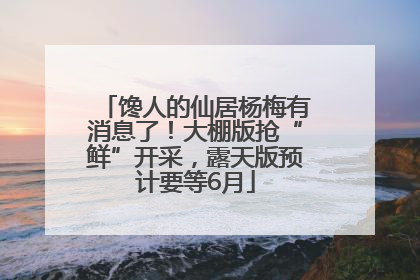 馋人的仙居杨梅有消息了！大棚版抢“鲜”开采，露天版预计要等6月