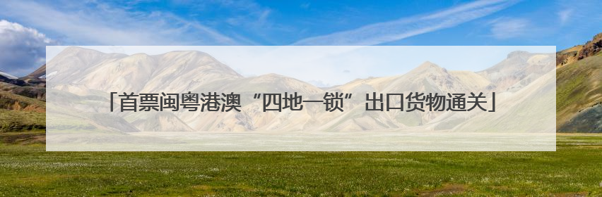 首票闽粤港澳“四地一锁”出口货物通关