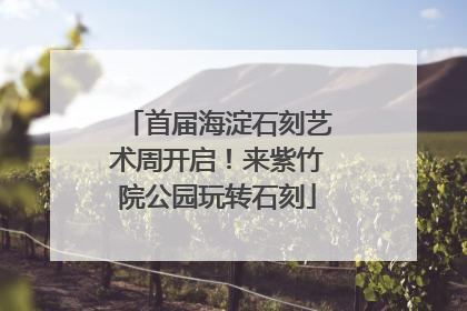 首届海淀石刻艺术周开启！来紫竹院公园玩转石刻