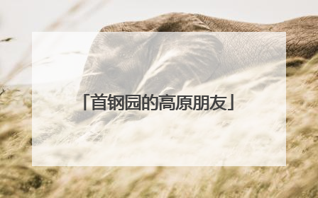 首钢园的高原朋友