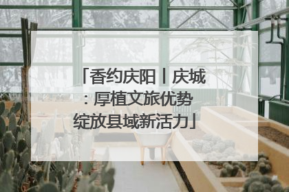 香约庆阳丨庆城：厚植文旅优势 绽放县域新活力