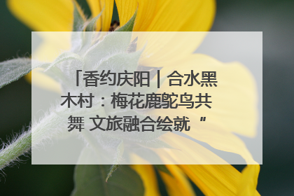 香约庆阳｜合水黑木村：梅花鹿鸵鸟共舞 文旅融合绘就“诗与远方”