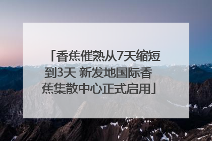 香蕉催熟从7天缩短到3天 新发地国际香蕉集散中心正式启用