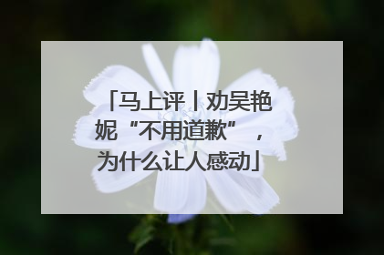 马上评丨劝吴艳妮“不用道歉”，为什么让人感动
