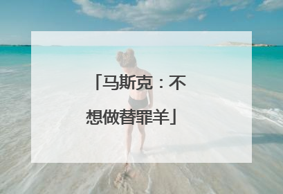 马斯克：不想做替罪羊